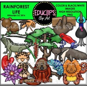 Rainforest Life Clip Art Bundle {Educlips Clipart}