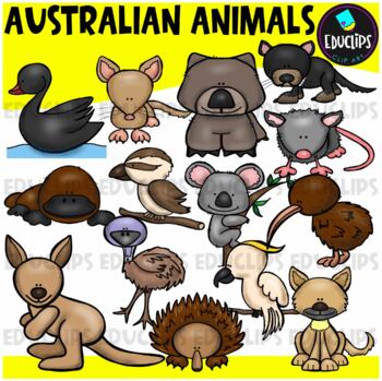 Australian Animals Clip Art Set {Educlips Clipart}