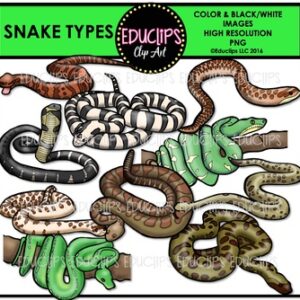 Snake Types Clip Art Bundle {Educlips Clipart}