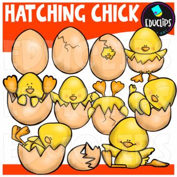 Hatching Chick Clip Art Set {Educlips Clipart}