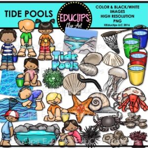 Tide Pools Clip Art Bundle {Educlips Clipart}