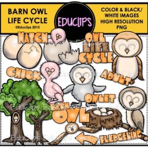 Barn Owl Clip Art Bundle {Educlips Clipart}