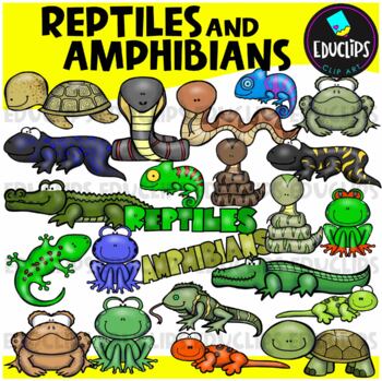 Reptiles & Amphibians Clip Art Set {Educlips Clipart}