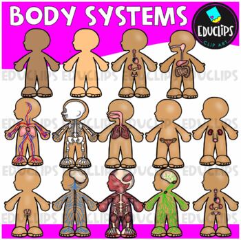 Body Systems Clip Art Set {Educlips Clipart}