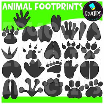 Animal Footprints Clip Art Bundle {Educlips Clipart}