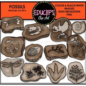 Fossils Clip Art Bundle  {Educlips Clipart}