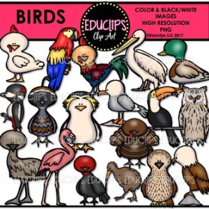 Birds 2 Clip Art Set {Educlips Clipart}