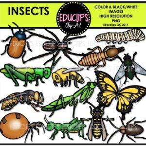 Insects Clip Art Bundle {Educlips Clipart}