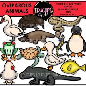 Oviparous Clip Art Bundle {Educlips Clipart}
