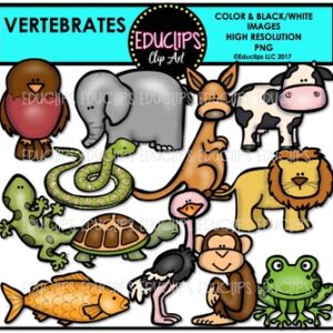 Vertebrates Clip Art Bundle {Educlips Clipart}