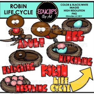 Robin Life Cycle Clip Art Set {Educlips Clipart}