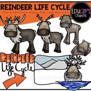 Reindeer Life Cycle Clip Art Set {Educlips Clipart}