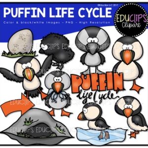 Puffin Life Cycle Clip Art Set {Educlips Clipart}