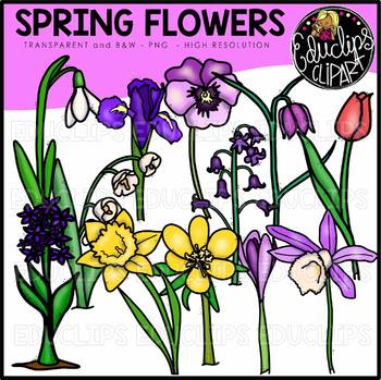 Spring Flowers Clip Art Bundle {Educlips Clipart}