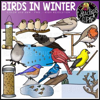 Birds in Winter Clip Art Set {Educlips Clipart}
