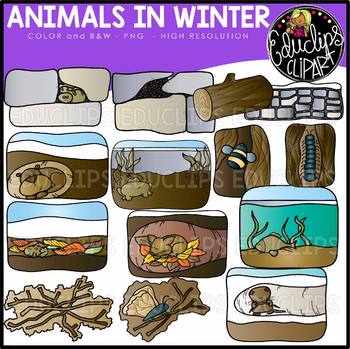 Animals in Winter/Hibernating Clip Art Set {Educlips Clipart}