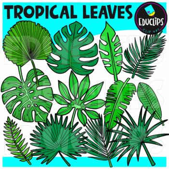 Tropical Leaves Clip Art Set {Educlips Clipart}