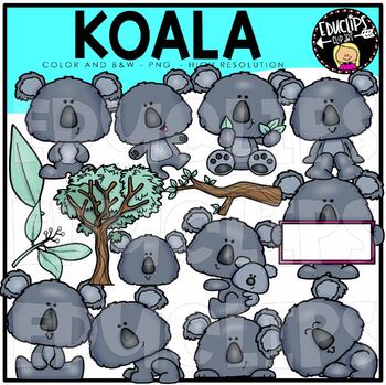 Koala Clip Art Set {Educlips Clipart}