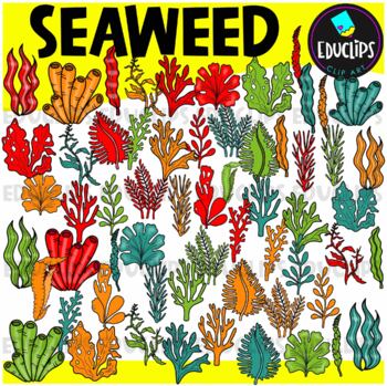 Seaweed Clip Art Set {Educlips Clipart}