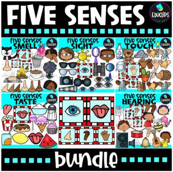 Five Senses Clip Art Bundle {Educlips Clipart}