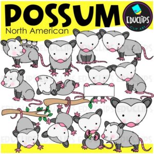 Possum Clipart – Cute North American Woodland & Backyard Animal Graphics