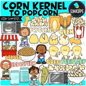 Corn Kernel to Popcorn Clip Art | Scientists | Popcorn Experiments {Educlips}